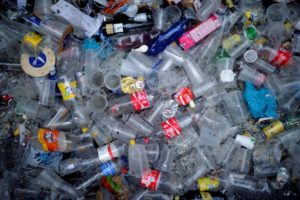 Найденный на свалке микроб может помочь решить проблему пластиковых отходов