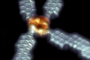Графеновые наноленты станут проводниками цепей молекулярной электроники